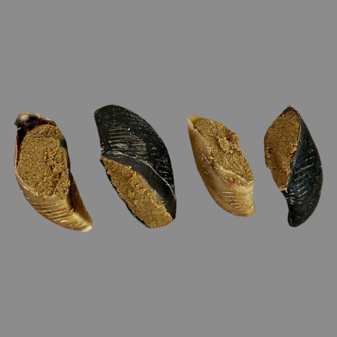 Peanut Butter Filled Cow Hooves - Natural Dog Treat