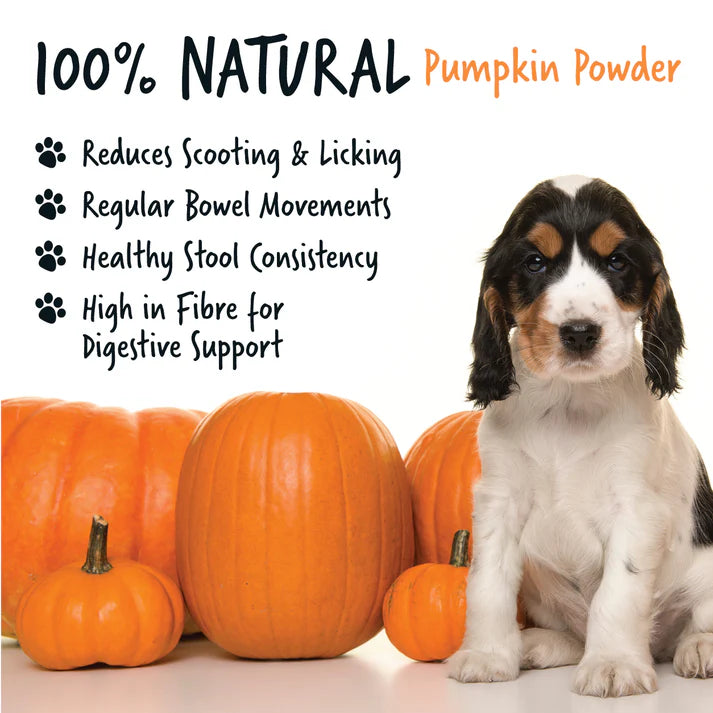 Bugalugs Pumpkin Powder Supplement for Dogs (200g)