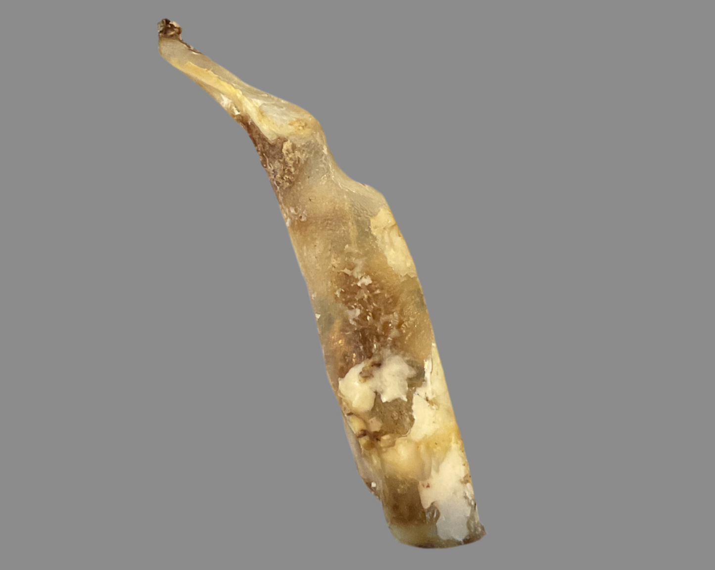 Moon Bone Natural Dog Treat