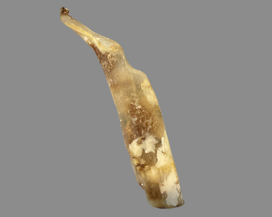 Moon Bone Natural Dog Treat