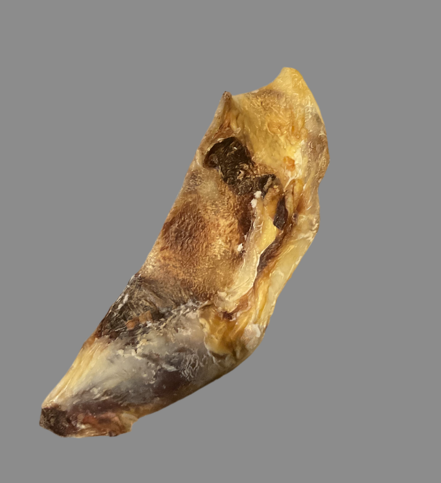 Moon Bone Natural Dog Treat