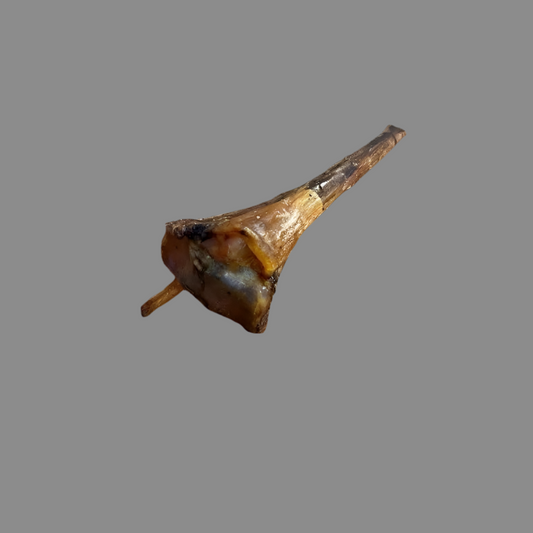 40cm Ostrich Metatarsus Bone Hypoallergenic - Natural Dog Treat for Dogs