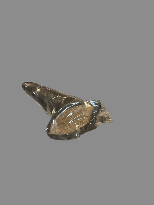 Buffalo Small Horns Meat Filled - Natural Dog Treat