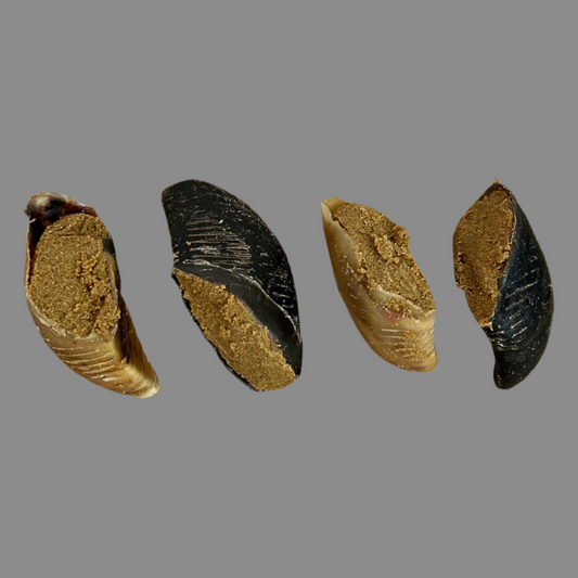 Peanut Butter Filled Cow Hooves - Natural Dog Treat