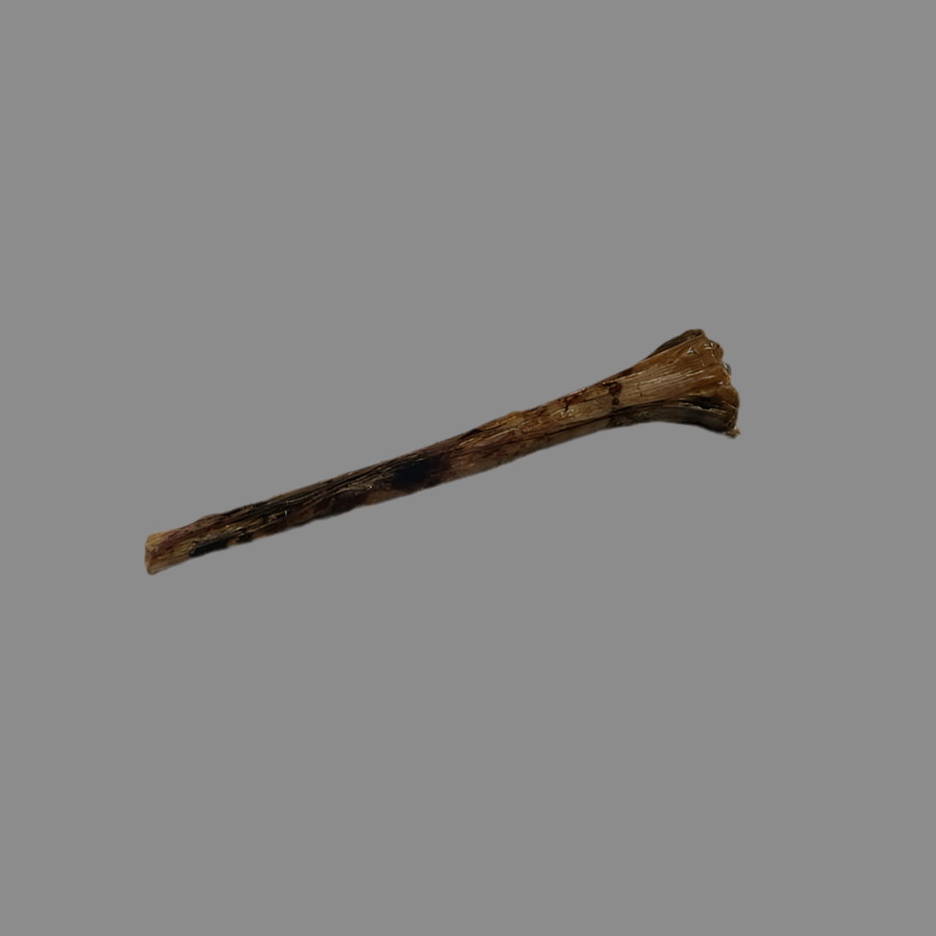 40cm Ostrich Metatarsus Bone Hypoallergenic - Natural Dog Treat for Dogs