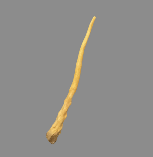 Buffalo Tail - Natural Dog Treat