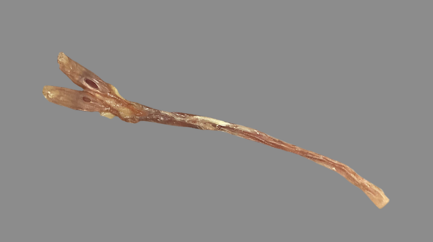 Natural Beef Tendon Dog Treat