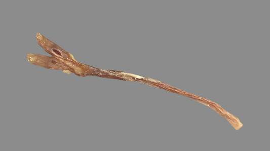 Natural Beef Tendon Dog Treat